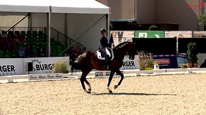 25K views · 436 reactions | Nochmal schön im Leichttraben außenrum...