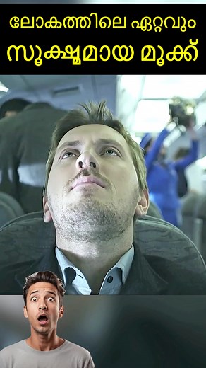 85K views · 638 reactions | Super Sniffer Detects Terrorist on Flight...