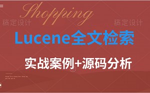 程序员Lucene全文检索技术，从底层到实战应用Lucene全套教程