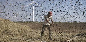 The Doha deadlock: intellectual property and climate change