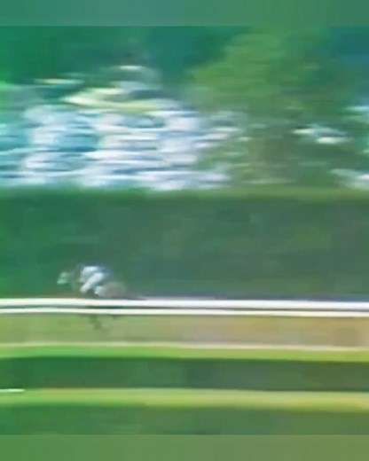 SECRETARIAT ❤️ BELMONT GLORY 1973 #Secretariat #racehorse #sport #triplecrown #horses #BELMONT #PREAKNESS #BELMONTSTAKES #KENTUCKYDERBY | Friends who like Secretariat