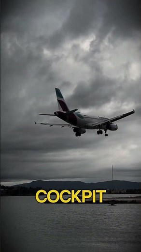 What Happened to the Haunted Flight 401?