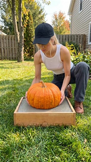 Turn a pumpkin into a stunning outdoor garden sink! 🎃🧡 I used a pumpkin to mold a unique concrete basin for my garden haven. 🌿🍓 The vibrant orange adds such a joyful, intentional touch to this rustic retreat. 🕊️🤎 Proof that high-end style starts with a little creativity. 🏠✨ Would you try this pumpkin hack in your garden? 👇🧡✨ #GardenOasis #ConcreteMolding #DIYGarden #OutdoorLiving