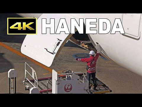 [4K] JAL "safety first" ground handling / JAL エアバスA350 到着から出発まで / 羽田空港 グランドハンドリング