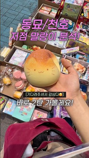 [저장/공유] 동묘/천호 말랑이 저점매수 2탄 천호편!🔥#말랑이 #천호완구거리 #동묘완구거리 #왁뿌볼 #천호 #동묘 #리뷰