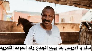 نداء با ادريس بغا يبيع الجدع ولد العوده الݣمريه | Yuzar vlogs