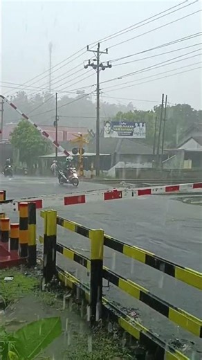A Girl Stuck In The Middle Of A Crossing | Cewe Terjebak di Tengah Perlintasan