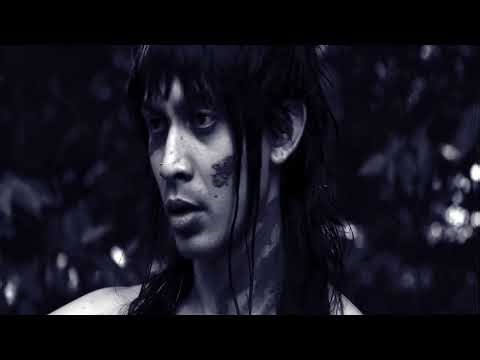 Green Erasure (2025) - NSB