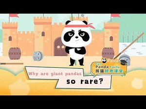 【Fun Panda Facts】Why Are Giant Pandas So Rare? | iPanda