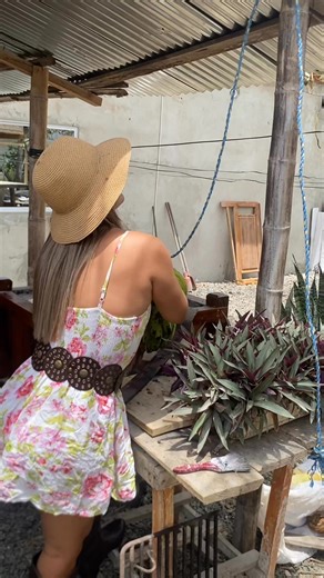 Alzando el verde 🌸 | Yeka Palacios