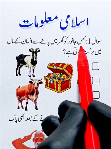 Follow Me 🤷 #quiz #urduquiz #islamicquiz #paklearningway #generalknowledge