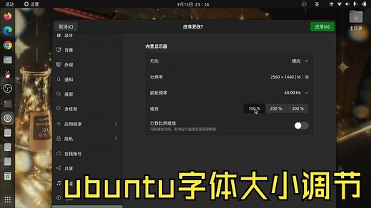ubuntu系统简单调节页面和终端字体（个人方法）