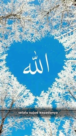 ❤️❤️Allah❤️❤️