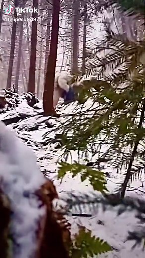 #parkour #yeti #bigfoot #fallingdownhill | yeti