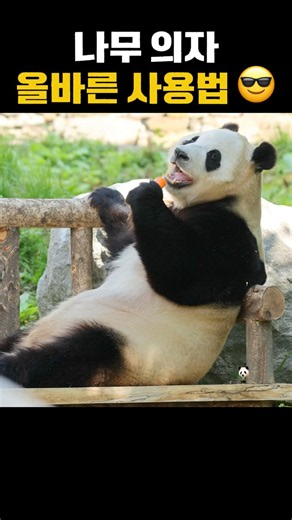 나무 의자 올바른 사용법 🐼 😎