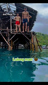 4.3M views · 7.6K reactions | Shadow fight #highlightsシ゚ @top fans✅ | BAL PAGE TV | Facebook