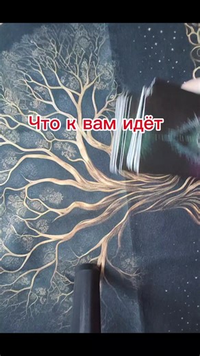 Мария (@hffvhre)’s videos with оригинальный звук - Мария