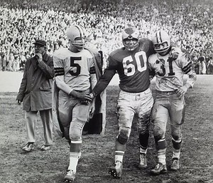 1960 NFL Championship Game - Alchetron, the free social encyclopedia