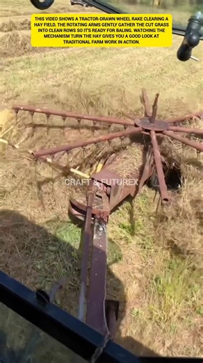 Tractor drawn wheel rake in action. #ytshorts