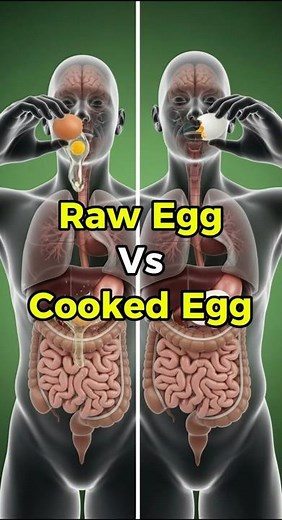 What Happens Inside Your Body When You Eat a Raw Egg VS. Cooked Egg