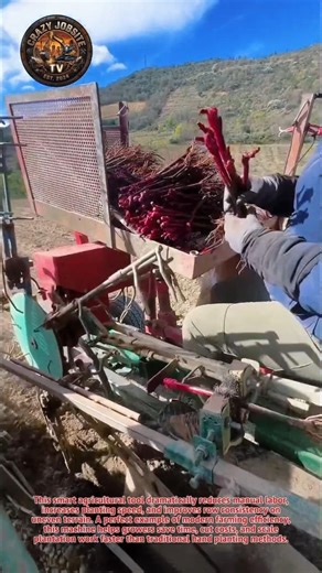 Insane Tree Planting Machine Plants Hundreds in Minutes!