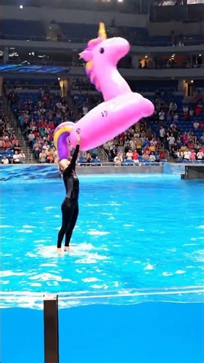 Orca Destroys Giant Pool Float! #viralvideo #worldstage #youtube