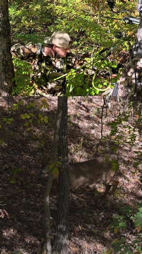 Essential Tips for Successful Deer Hunting