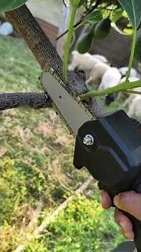 I bought this mini tree pruning saw and look what happened