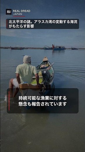 アラスカ湾の変動する海流がもたらす影響と北太平洋の謎