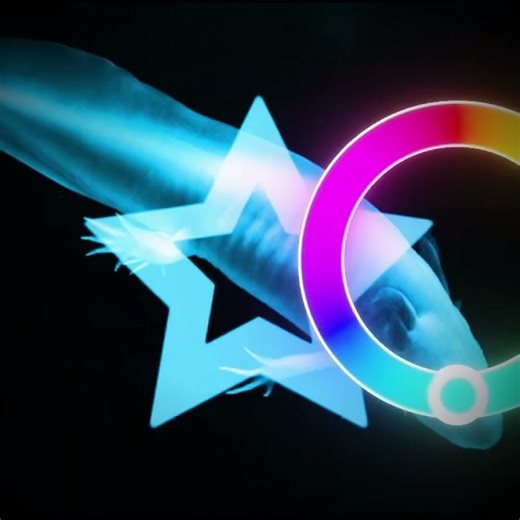 color wheel trend with axolotls