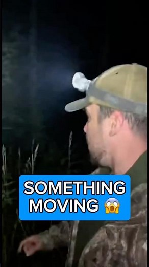 Strange creature encounter during night hunting 😱😱 #mystery #funny #creepy
