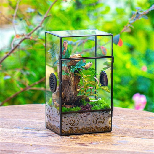 NCYP Glass Geometric Terrarium with Plastic Mesh Vent Holes for Small Insects, Snail, Jumping Spider Enclosure, Terrarium Only
