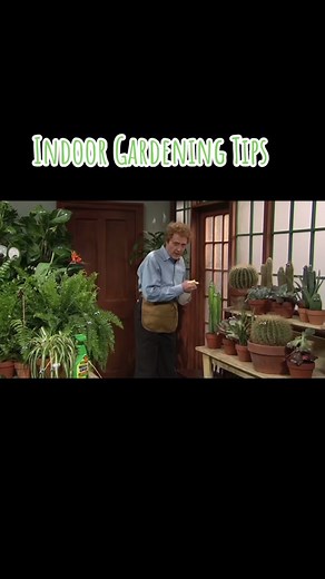 Christopher Walken Plants with Googly Eyes | Indoor Gardening Tips