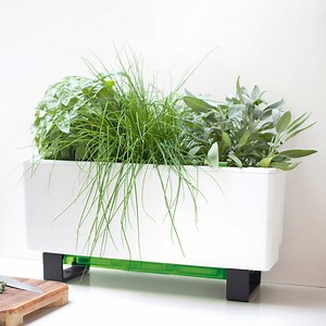 Mini Bench - Perfect For City Dwellers & Urban Gardening