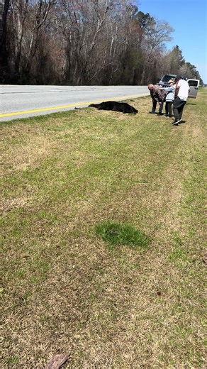 brendagibbs98 (@brendagibbs98)’s video of snapping turla