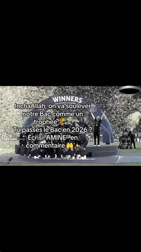 Réussir le Bac 2026 : Écrivez AMINE !