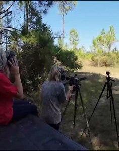 Going overboard with Tannerite in the backyard