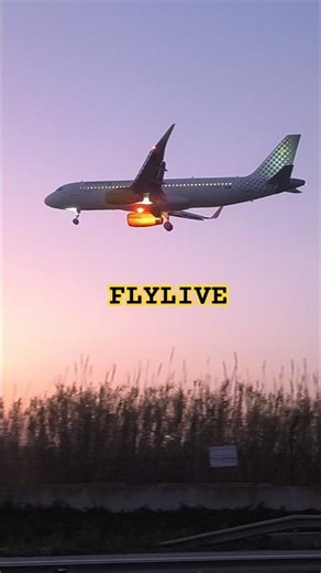 VUELING A320: DETALLES EN LA OSCURIDAD.