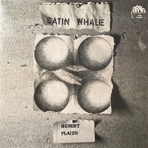 Satin Whale - Desert Places