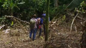 Make It Out The Amazon Alive! | Season 1 Episode 3 | Part 1 #survival #wildlife | I Shouldn't Be Alive