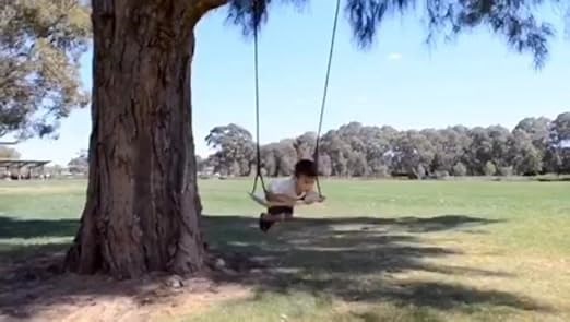 wood  swing