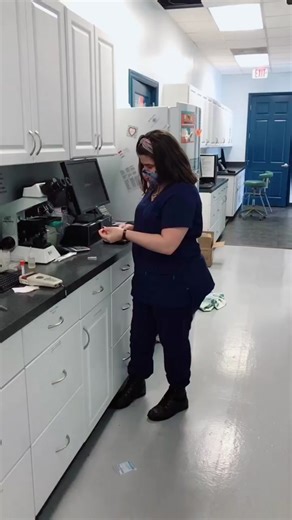 A day at Atlantic Animal Hospital!