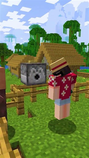 169 Insane Minecraft Experiments @Bubuplayz