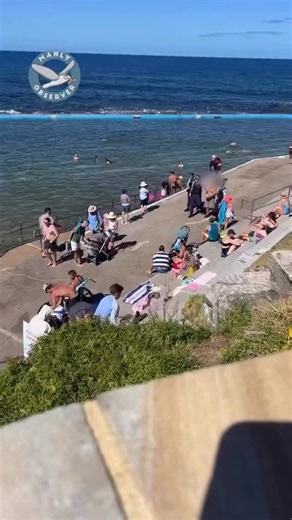 195K views · 1.2K reactions | MAN ARRESTED OVER CHILD APPROACH A man will face court following an alleged child approach on the Northern Beaches. About 7pm on Sunday 28 December 2025 police were told a 13-year-old boy was approached by a man – who is unknown to him – inside a toilet block at a reserve on the Wakehurst Parkway, Narrabeen. https://manlyobserver.com.au/man-arrested-after-an-alleged-child-approach/ | Manly Observer | Facebook