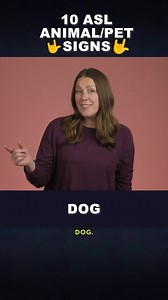 🤟 10 ASL Signs for Pets 🐶🐱 #animalsigns #learnasl #learnhowtosign Dog, Cat, Fish, Bird, Rabbit, Turtle, Hamster, Snake, Lizard, Frog Want to learn ASL? 📚✨ Learn How to Sign makes it easy with engaging lessons, cultural insights, and real-world signing tips! Visit learnhowtosign.com or check out our YouTube channel "Learn How to Sign" for more! 🤟 | Learn How to Sign
