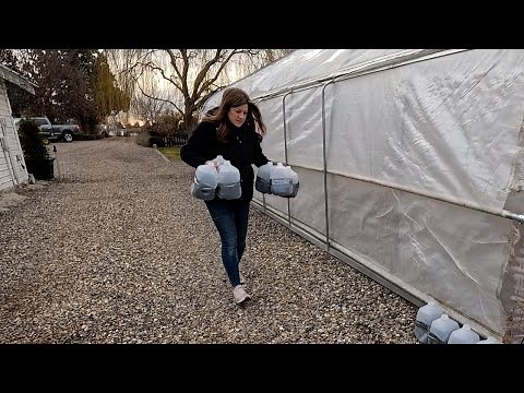 Winter Seed Sowing! The Least Expensive Way to Grow Seeds! 🌱🙌🤑 // Garden Answer
