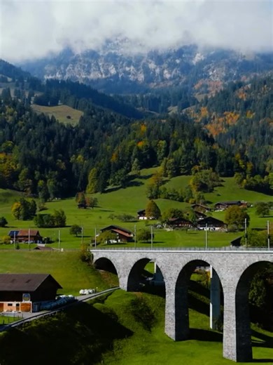 FSH - PROMO 28.02.2026