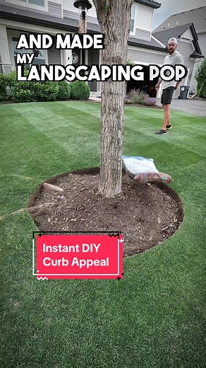 Add INSTANT DIY curb appeal to your landscaping ⤵️ I ditched my ugly plastic landscape edging earlier this spring in exchange for a NATURAL EDGE and couldn't be happier with the result 🌱 One of the only tools I used for the entire property was the Garden Weasel Edger Chopper (on my site under Lawn Tools & Accessories). 🙌🏻 This tool works great to create and maintain live, natural edges so they look great all year long 🔥 #lawntok #lawntiktok #grasstok #grasstiktok #lawntips #landscaping #diy 