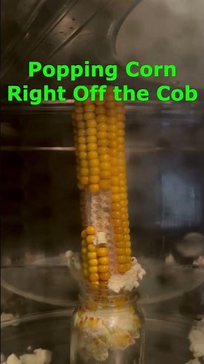Popping Popcorn on the Cob
