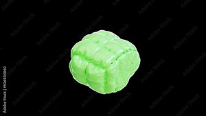 Video Animation Light green textured 3D brainlike object suitable for science, technology, medical, and educationrelated design projects and presentations.